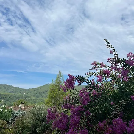 Tres Joli Mas Cevenol * Anduze